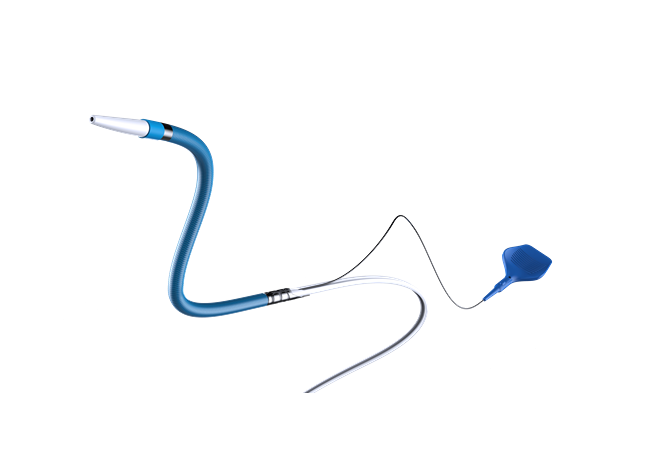 Guide Extension Catheter