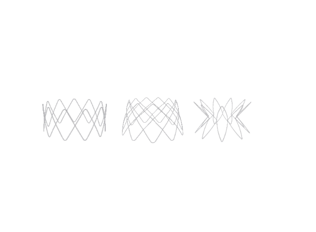 ASSEMBLE? Biodegradable Sinus Drug Stent System