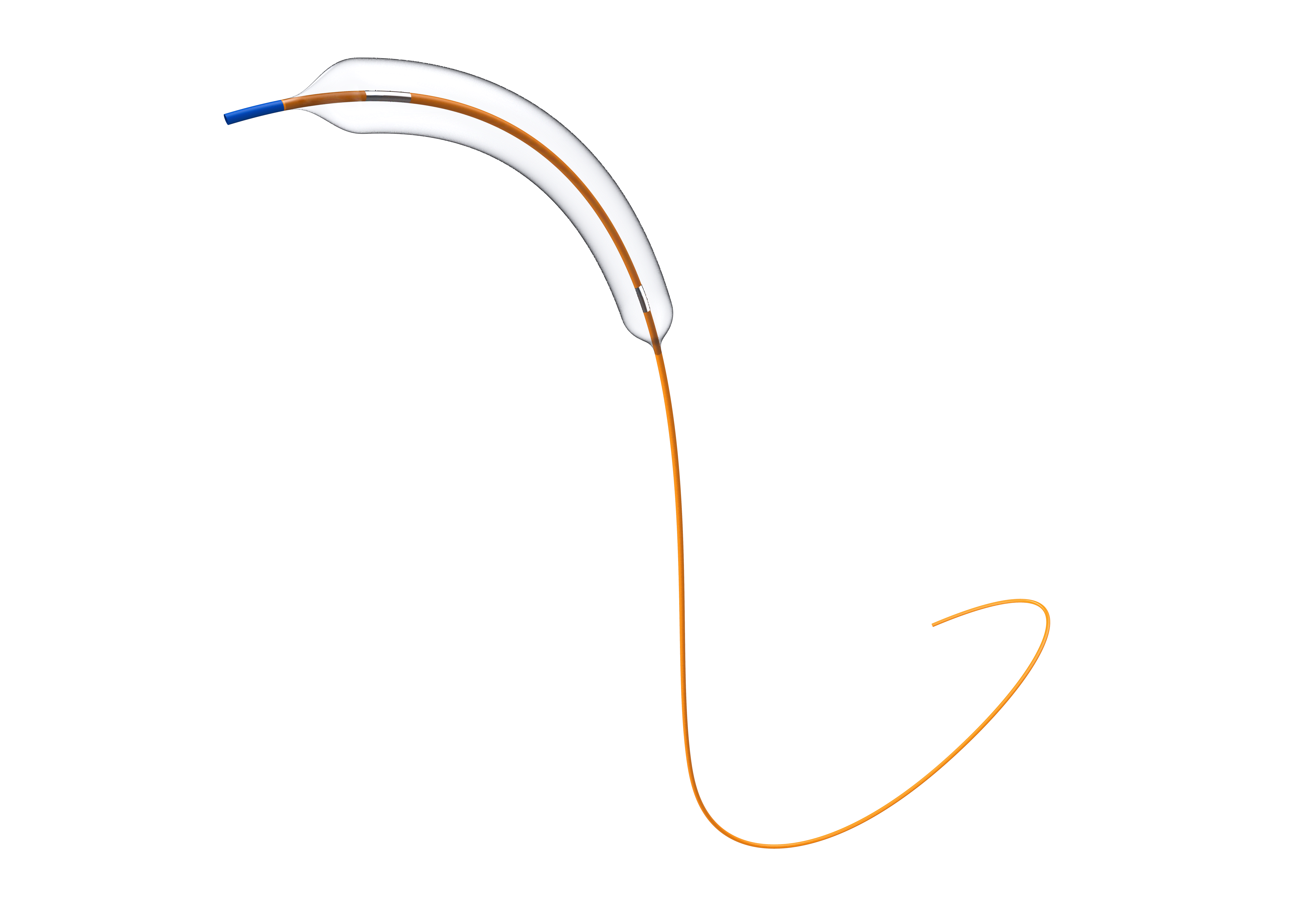Noncompliant Balloon Dilatation Catheter