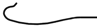 05-Amplatz Left（3.0）.png